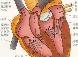 圍產期心肌病變 圍產期心肌病變