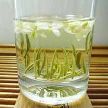 茉莉花茶[茶葉吸收茉莉花香而製成的茶葉]