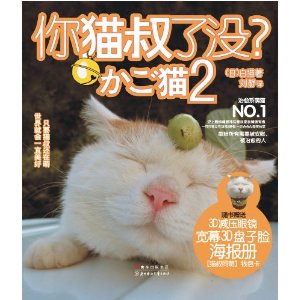 你貓叔了沒2