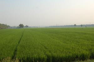 寶山鄉[吉林省磐石市]