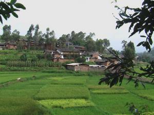 阿朵卡村 阿朵卡村
