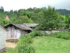 外菽草地自然村 外菽草地自然村