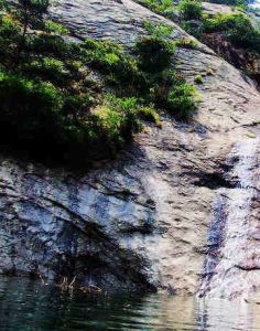 九龍戲珠 九龍戲珠