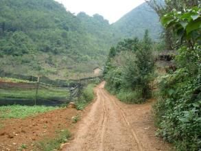 岩羊洞自然村 岩羊洞自然村