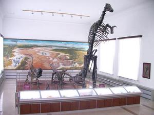 吉林大學博物館