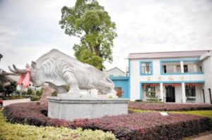 東方紅村 東方紅村