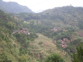 麻栗保村 麻栗保村