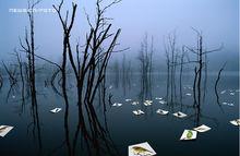 侯謝剽竊後經過ps的“作品”