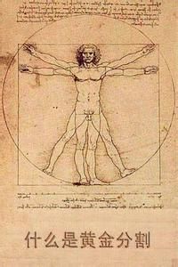 黃金分割數 黃金分割數