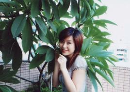 方茜[廣州大學市政環境工程系副教授]