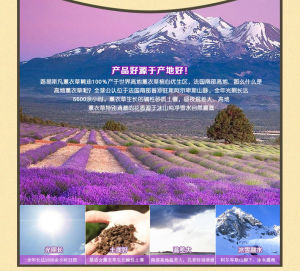 LOUISFAN路易詩凡