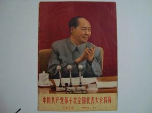 中國共產黨第十次全國代表大會
