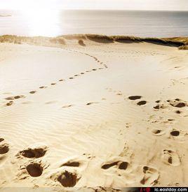 庫爾斯沙嘴 庫爾斯沙嘴