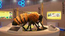 中國蜜蜂博物館