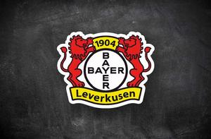 勒沃庫森足球俱樂部 勒沃庫森足球俱樂部