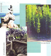 精彩秀美-湖光岩