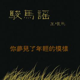 你夢見了年輕的模樣 你夢見了年輕的模樣