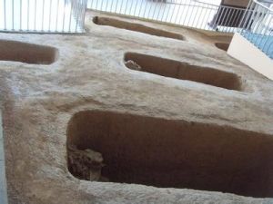 山戎文化墓葬群 山戎文化墓葬群