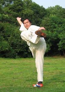 劈掛十三勢 劈掛十三勢