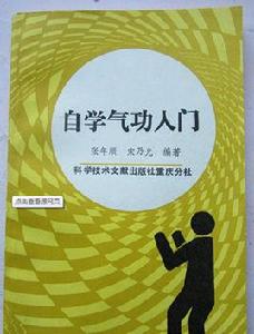 自學氣功入門 自學氣功入門