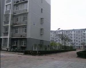 育才庭院 育才庭院