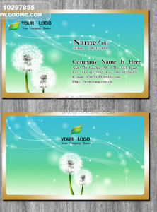 蒲公英片 蒲公英片