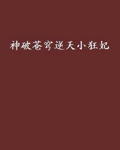 神破蒼穹逆天小狂妃 神破蒼穹逆天小狂妃