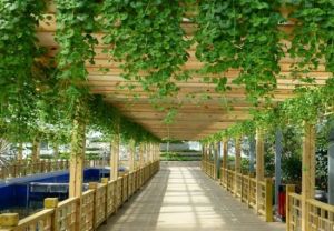 夏莊四季生態採摘園 夏莊四季生態採摘園