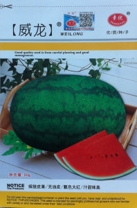 全能威龍 全能威龍