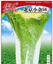 北京小雜56號 北京小雜56號