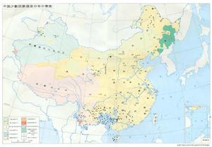 中國諸民族語言 中國諸民族語言