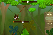 長手樹熊 長手樹熊