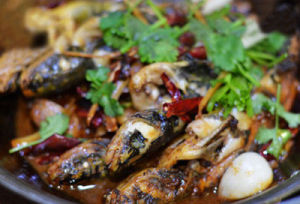 川香辣醬燒黃辣丁 川香辣醬燒黃辣丁