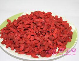 枸杞霜霉 枸杞霜霉