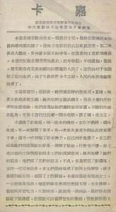 《卡嘉》電影說明書