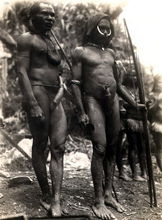 巴布亞紐幾內亞陽套族