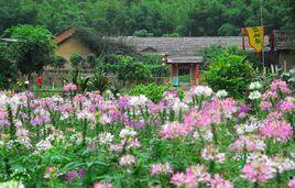 肇慶世外桃源 肇慶世外桃源