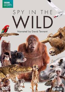 荒野間諜 荒野間諜