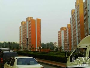 金灣新城 金灣新城