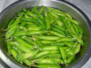 鹽水鮮豌豆 鹽水鮮豌豆