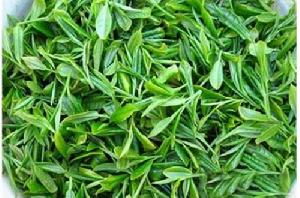 威海綠茶 威海綠茶