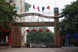 四川省地質礦產勘查開發局二○二地質隊 四川省地質礦產勘查開發局二○二地質隊