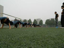 河南職業技術學院散打隊 河南職業技術學院散打隊