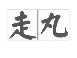 走丸 走丸