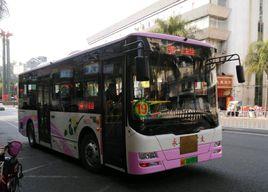 永安公交19路 永安公交19路