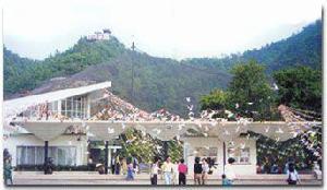 百鳥樂園 百鳥樂園