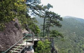 黃茅尖景區 黃茅尖景區