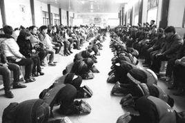 1·11上海800學生跪拜父母事件