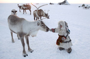 西伯利亞[北亞地區]