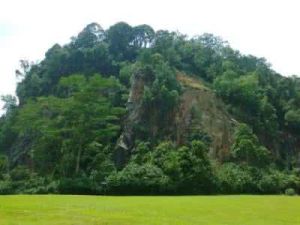 武吉知馬猴人 武吉知馬猴人